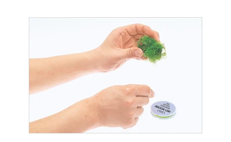 Buy ADA Riccia Line online, buy aquarium products online, buy ada products, aquascaping hardscape material