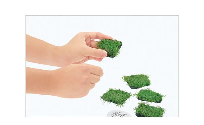 Buy ADA Riccia Stone online, buy aquarium products online, buy ada products, aquascaping hard scape material
