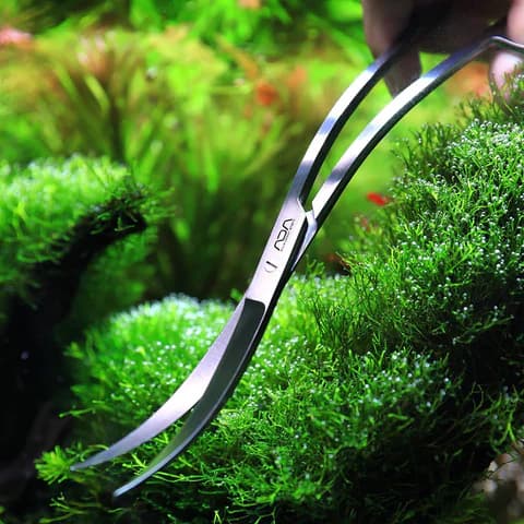 Buy ADA Pro Scissors wave Online, Buy aquarium products online, Best Aquarium products store in india, Buy ADA products, Aquascaping essentials, curved scissor, straight scissor