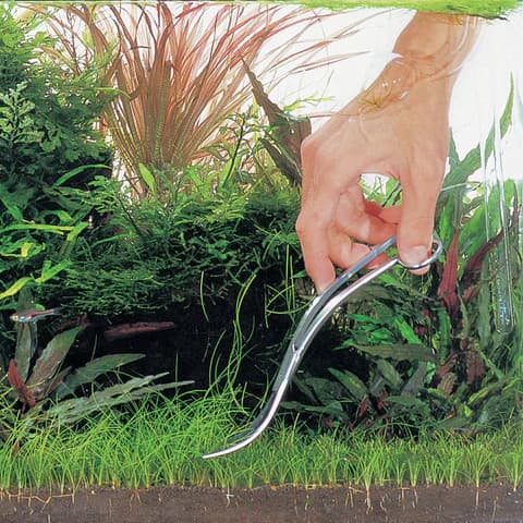 Buy ADA Pro Scissors wave Online, Buy aquarium products online, Best Aquarium products store in india, Buy ADA products, Aquascaping essentials, curved scissor, straight scissor
