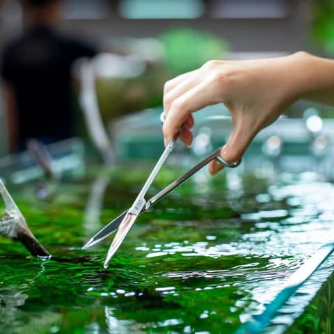 Buy ADA Pro Scissors S Online, Buy aquarium products online, Best Aquarium products store in india, Buy ADA products, Aquascaping essentials, curved Scissors, straight Scissors