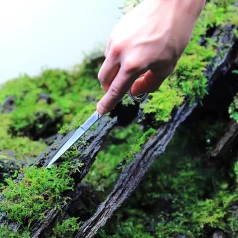 Buy ADA Pro Scissors Short Online, Buy aquarium products online, Best Aquarium products store in india, Buy ADA products, Aquascaping essentials, curved scissor, straight scissor