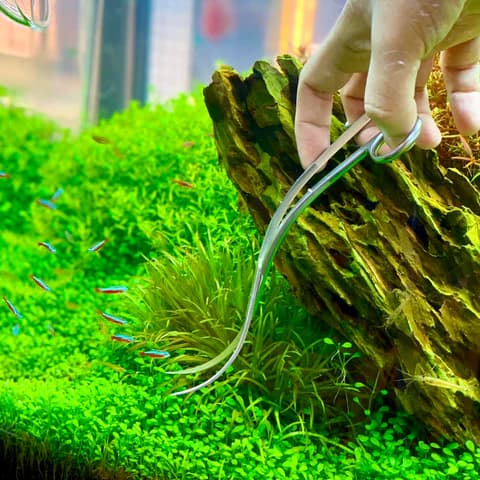 Buy ADA Pro Scissors wave Online, Buy aquarium products online, Best Aquarium products store in india, Buy ADA products, Aquascaping essentials, curved scissor, straight scissor