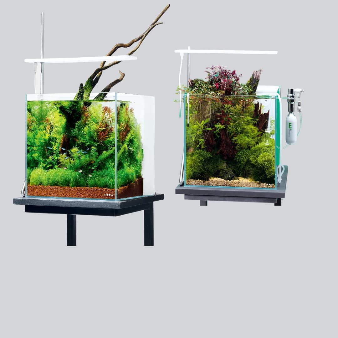 Aquarium Tanks