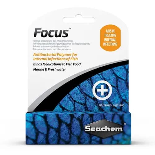 Seachem Focus 5G, Seachem Focus fish medication binder, aquarium medicated food binder India, Seachem Focus dosage, internal fish infection treatment, freshwater fish medication binder, marine fish medicated food, Seachem aquarium treatment India
