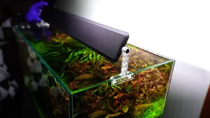 CHIHIROS AII 301 LED Aquarium Lights