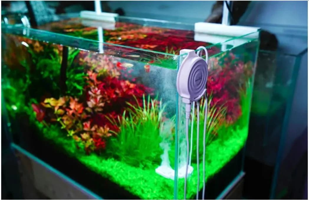 Chihiros Doctor Mate Ionizer (Algae Control Upto 125L)