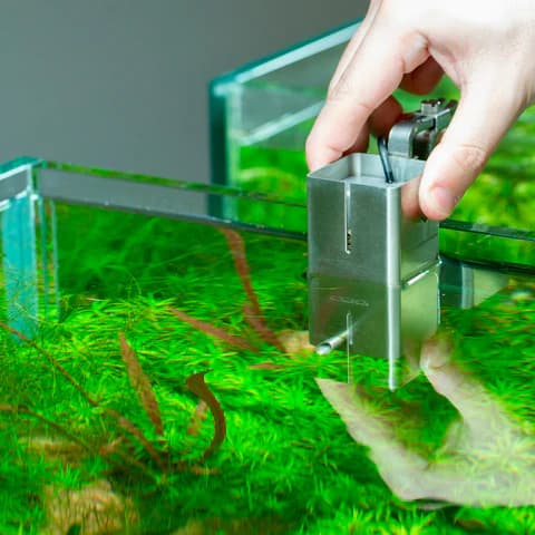 Buy ADA VUPPA II Surface Skimmer, Surface filter, best aquarium filter, Buy ada filter online, ADA VUPPA 2 Surface Skimmer