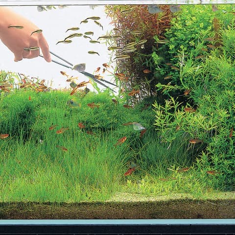 Buy ADA Pro Scissors S Online, Buy aquarium products online, Best Aquarium products store in india, Buy ADA products, Aquascaping essentials, curved Scissors, straight Scissors