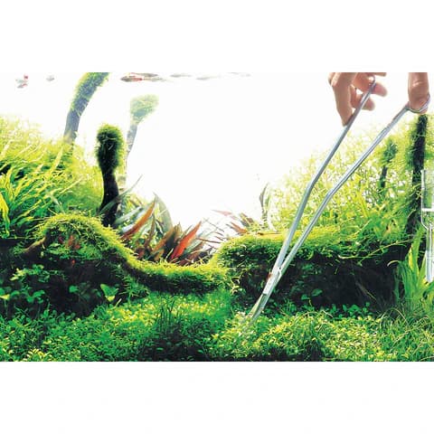 Buy ADA Pro Scissors Nude Online, Buy aquarium products online, Best Aquarium products store in india, Buy ADA products, Aquascaping essentials, curved scissor, straight scissor