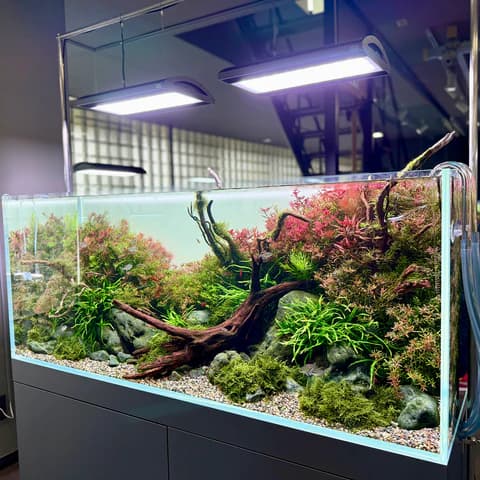 ADA SOLAR RGB II Aquarium Light