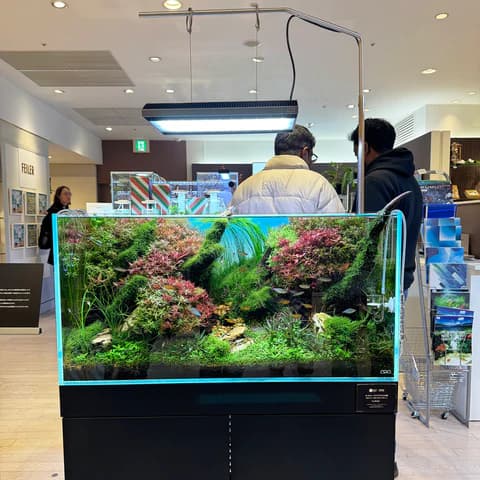 ADA SOLAR RGB II Aquarium Light