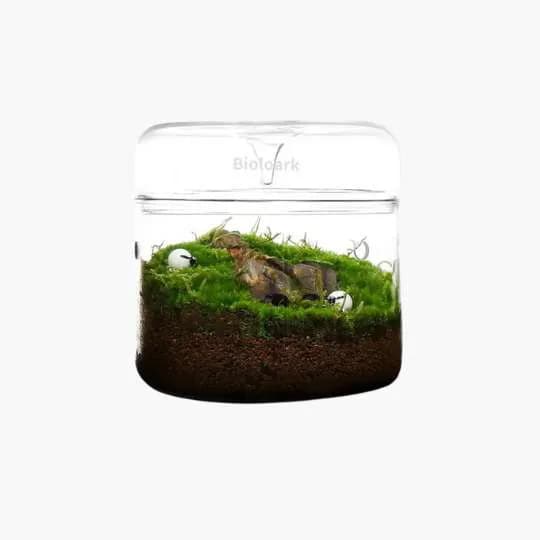 Terrarium & Paludarium