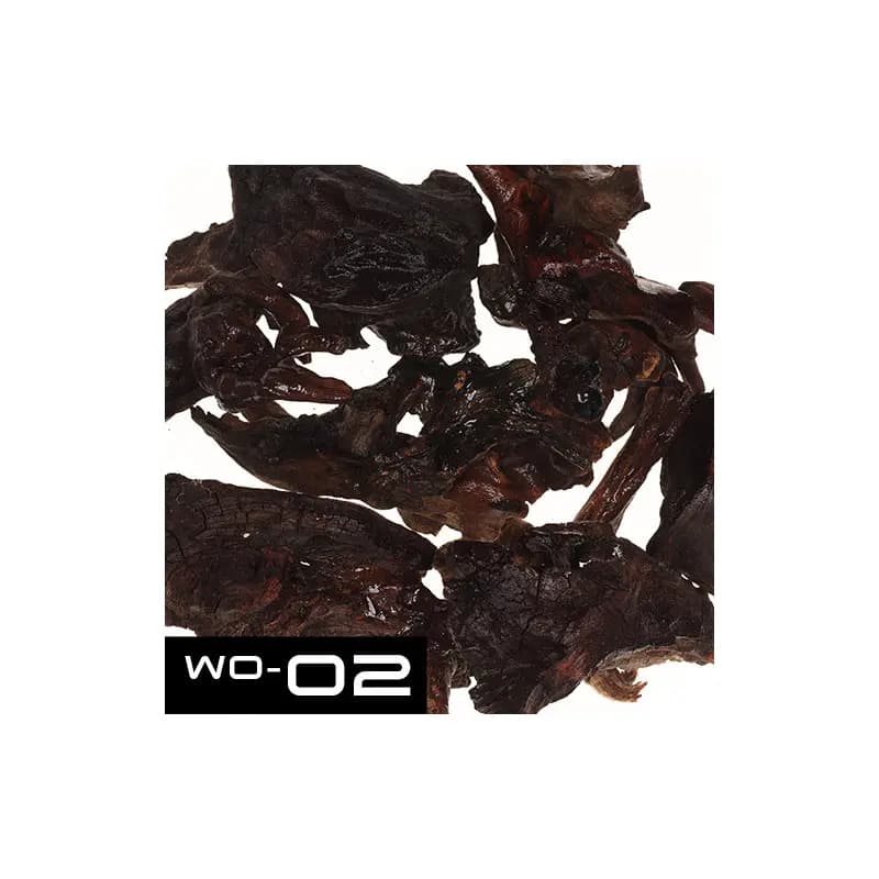 Buy ADA KUMU WO-02 - Horn Wood Pieces (4 pieces),ADA hardscaping, Best hardscaping, buy Horn Wood