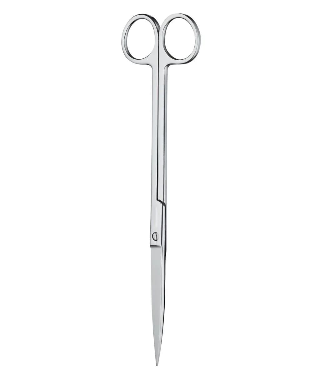 Chihiros Straight Scissors 21cm