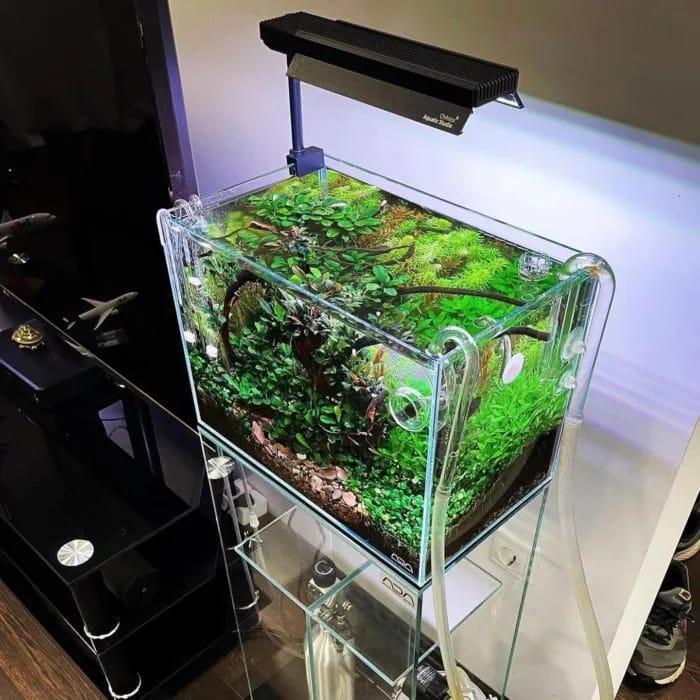 Chihiros Shades for C2 RGB Shades With Mirror